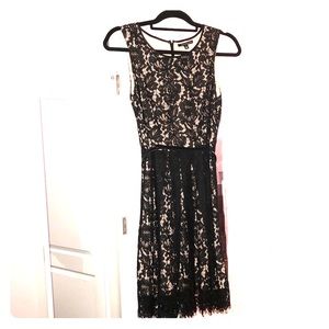 The Limited - Eva Longoria lace dress black